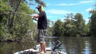 Nanticoke River 81314  bass fishing [upl. by Gladi]