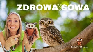 Zdrowa Sowa Dłuższa wersja [upl. by Thordis]