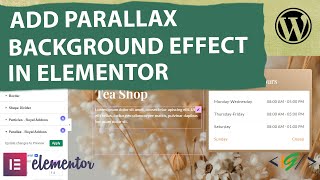 How to Add Parallax Background Effect on Container Background Image in Elementor  Zoom  Scroll [upl. by Hammond338]