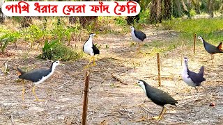 Bird Hunting Trap  The Best Bird Trap  ডাহুক পাখি ধরার সেরা ফাঁদ  Dahuk Pakhi Dhorar Fad [upl. by Anidal715]