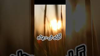 Lagiyan NY mojanNaseebullahshortsviralnew naat [upl. by Charleton]