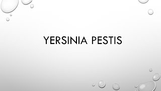 Microbiology Yersinia pestis plague [upl. by Tirrej]