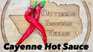 Cayenne Pepper Hot Sauce Recipe  How to Make an Easy Homemade Cayenne Hot Sauce [upl. by Lihcox92]