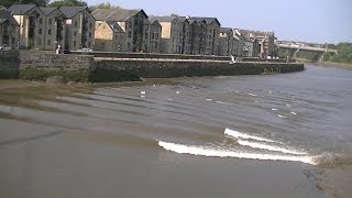 The River Lune Tidal Bore St Georges Quay Lancaster 100914 [upl. by Bear]