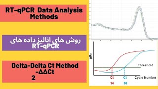 Everything about RTqPCR data analysis and DeltaDelta Ct Livak method Real Time PCR data analysis [upl. by Naiviv]