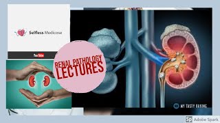 RENAL PATHOLOGY lecture 19 CHRONIC KIDNEY DISEASE  must watch to grab it [upl. by Westberg46]