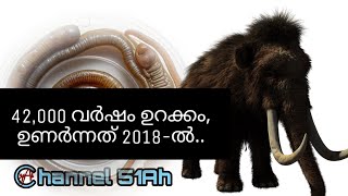 42000 വർഷങ്ങൾക്ക് ശേഷം വീണ്ടും ജീവിതത്തിലേക്ക് [upl. by Namhar]