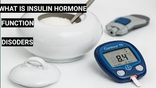 What is insulin hormone [upl. by Aicitan]