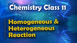 Homogeneous and Heterogeneous Reaction  Chemical equilibrium  Chemistry Class 11 [upl. by Yared]