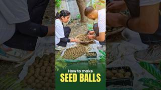 How to make Seed Balls 🌱 shorts [upl. by Atalie]