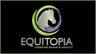 Top 6 Signs Your Saddle is Hurting Your Horse  by Equitopia demonstrated by Jochen Schleese [upl. by Terese]