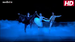 Tchaikovsky Swan Lake choreographed by Nureyev Final Scene [upl. by Cirde]