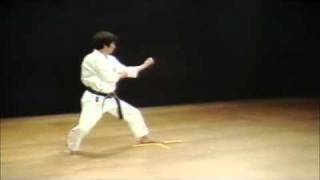 12 Kata Kanku Sho Shotokan Karate Hirokazu Kanazawa [upl. by Iad18]