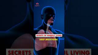 STOP Living a Stressful Life and Discover Mindful Living shorts ytshorts liveatoplife [upl. by Beard]