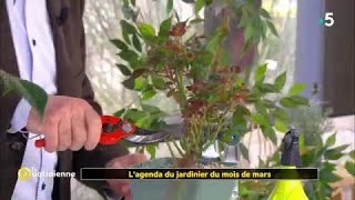 Lagenda du jardinier du mois de mars [upl. by Rici138]