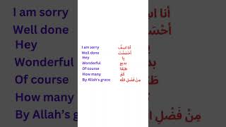 Most useful small phrases in Arabic short [upl. by Allekram]