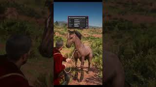 RARE Horse Location In RDR2 shorts rdr2 funny [upl. by Alyled]