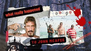 The Mysterious End of John McAfee The Full Story  True Crime Documentary [upl. by Enivid]