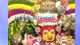 Thathayya gunta gangamma temple in tirupati 🌹🙏🧿 [upl. by Fassold]