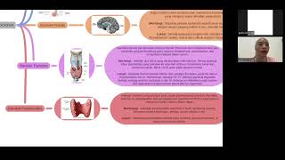 Tugas Block Basic Endokrine and Metabolisme 2008260008 Putri Cici Linda [upl. by Woolcott]