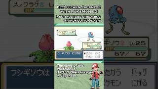 What is tentacool in Japanese pokemon learnjapanese jellyfish [upl. by Ellenahs]