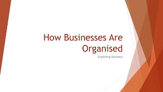 How Businesses Are Organised  Pearson Edexcel Business BTEC Extended Diploma [upl. by Artus]