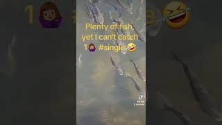 Plenty Of Fish🤣 single life dating [upl. by Lourdes]