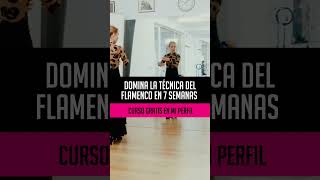 Posticeo de castañuelas con giros flamenco danza baile [upl. by Dowski57]