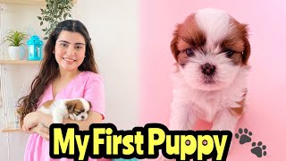 Meet Our New Puppy  Shih Tzu First Day At Home  Cutest Shih Tzu Puppy 🎀 Yashita Rai [upl. by Aifos]