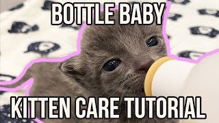 How to Care for a Bottle Baby Kitten QUICK Tutorial [upl. by Mikol197]