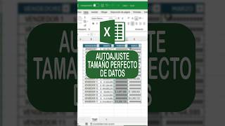 AJUSTE AUTOMATICO TAMAÑO DE DATOS EN EXCEL Excel Exceltips Exceltutorial Shorts Youtubeshorts [upl. by Gomer]