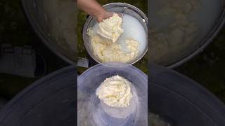 Yummy 😋 Butter 🧈 Process village villagelife cooking yt viralvideo ytshorts shorts [upl. by Annaej]