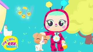 My DOG BINGO 🐶  My Little Cry Babies Songs for Kids in English  Nursey Rhymes [upl. by Nylirej]