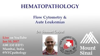 Hematopathology Flow Cytometry and Acute Leukemias [upl. by Sirama]