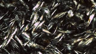 Trachyte Obsidian Thin Section [upl. by Nurav692]