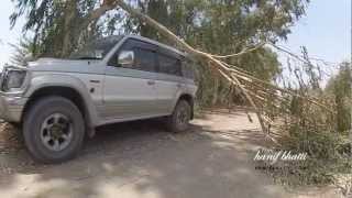 Pai Forest  Sakrand Sindh [upl. by Alper134]