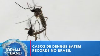 Brasil passa dos 3 milhões de casos prováveis de dengue  Jornal da Band [upl. by Borgeson421]