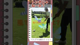 トッシーのベスグロ99への道風が強くてダメだshorts golf ゴルフ ゴルフ初心者 ゴルフ女子 google youtube dance 笑える [upl. by Twitt]