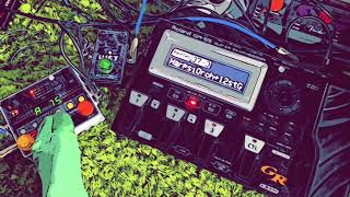 Strange Melody  Ambient Loop Roland GR55 Neunaber Stereo Wet EHX 22500 [upl. by Notlih]