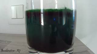 Libération de la phycocyanine par la spiruline [upl. by Frick140]