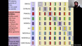 Diallel crosses artificial intelligence and mouse models of Alzheimers disease [upl. by Paik]