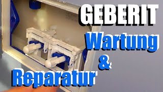 Geberit Toiletten Spülkasten Reparatur und Wartung  Wie gehts [upl. by Bathsheb473]