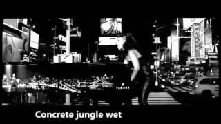 Concrete Jungle Wet Dream Tomato [upl. by Ahras]