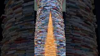 This Is The Deepest Book Library 📚 shorts ytshorts worldkfactz [upl. by Analart894]