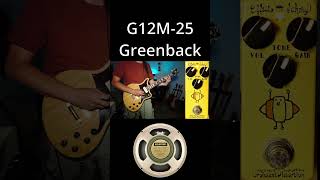 Celestion Speaker Comparison  G12M25 Greenback vs G12 Vintage 30 vs G12H75 Creamback [upl. by Haskins]