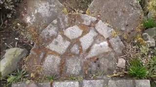 Removing Driveway Moss with Wash Powder Results [upl. by Odnomra]