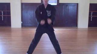 Kenpo Striking Set 1 [upl. by Sukramaj]