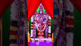 Seshadri Vasa Sri tirumalesha 🙏devotional song trending ⃣you tube [upl. by Irved]