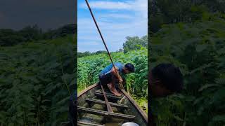 😲Unbelievable Boat Fishing VideoExpert Fishing [upl. by Hennie959]