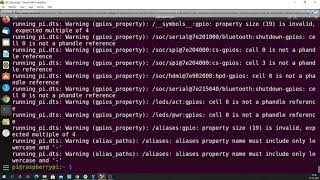 Device Tree Source DTS from Running Raspberry Pi [upl. by Dragelin902]